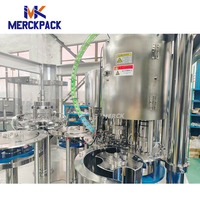 Machine automatique électrique 3-en-1 monobloc de rinçage, remplissage et bouchage avec roulement de moteur pour eau minérale pure et jus en bouteille PET
