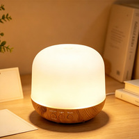 Diffuseur d'huiles essentielles et humidificateur 250 ml pour commande en gros, autonomie 8-16h, 3 lumières LED et fonction minuterie, service OEM disponible