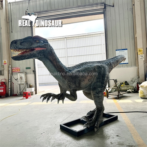 Zigong produsen Jurassic Park animatronik dinosaurus seperti hidup 3D Model dinosaurus Velociraptor untuk dijual - Product Image 5