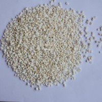 Mélange de coco coir, perlite, engrais minéral, perlite de qualité supérieure 3-6 mm