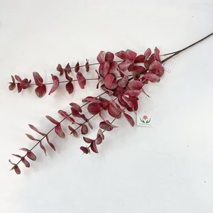 Prezzo all'ingrosso nuovo Design lungo stelo artificiale foglie di eucalipto verde fogliame pianta per la decorazione per la casa o decorazione di nozze - Product Image 5