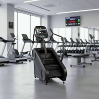 Équipement de fitness commercial pour salle de sport : Machine d'escalade métallique (Stairmaster Climber) directement du fabricant