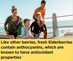 Venta al por mayor OEM ODM de polvo de vitamina C nutricional y caramelos blandos de saúco para el apoyo del sistema inmunológico - Product Image 2