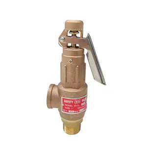 DKV A21W Brass Bronze Boiler Safety Relief Valve with Lever High Lift Type Spring loaded safety valve DN25 PN16