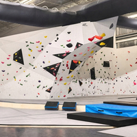 Mur d'escalade d'intérieur pour adultes, mur de bloc, salle de sport, aire de jeux, prix d'usine
