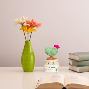 2025 nuevo ganchillo suculento ganchillo <span class=keywords><strong>Cactus</strong></span> planta positiva emocional Día de San Valentín regalo de Navidad Crochet <span class=keywords><strong>corazón</strong></span> <span class=keywords><strong>Cactus</strong></span> - Product Image 5
