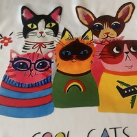 Étiquettes d'impression de vêtements Fabricant d'impression DTF Motif personnalisé Logo Vinyl Plastisol Étiquettes de vêtement de transfert de chaleur pour t-shirt