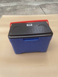 Nevera portátil <span class=keywords><strong>Rito</strong></span> de 9 litros para alimentos, cerveza, pesca, medicamentos, vacunas, almuerzo, uso marino, con aislamiento EPP para coche - Product Image 3