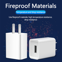 Fabrieksgroothandel 10W 5V2A USB snellader universeel voor mobiele telefoon, camera, smartwatch, brandwerend ontwerp, OEM