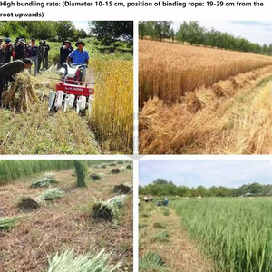 Kleiner Handsteuerungs-Reaper zum Ernten von Weizen Mais Reis Diesel-Bündelung maschine Motor Hand Push Rice Binder Harvest Machine - Product Image 6