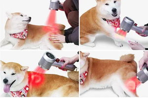 Perangkat rehabilitasi <span class=keywords><strong>Laser</strong></span> lunak panjang gelombang ganda, terapi <span class=keywords><strong>Laser</strong></span> inframerah untuk peralatan terapi dokter hewan - Product Image 4
