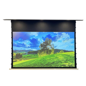 [Caché] Écran de plafond encastré de 120 ''ALR Écran de projecteur électrique <span class=keywords><strong>motorisé</strong></span> ALR à contraste élevé en cristal PET haut de gamme - Product Image 1