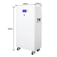 Batterie LiFePO4 sur pied 16 kWh 48 V 300 Ah 314 Ah avec BMS JK/JBD 200 A intégré, 6000 cycles pour stockage d'énergie solaire domestique