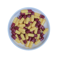 KangLe Halal Certifié Personnalisable Couleurs Capsules Gélules Creuses Machine à Capsules Manuelle avec Logo Personnalisé Support