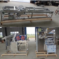 Machine à fabriquer des nouilles de vermicelles de riz commerciales |   Extrudeuse automatique de nouilles de riz 50-150 kg/h pour restaurant/usine