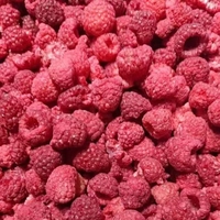 Frambuesas Dulces Liofilizadas FD a Granel, Origen Shandong, para Producción Industrial de Alimentos y Suministro de Materia Prima