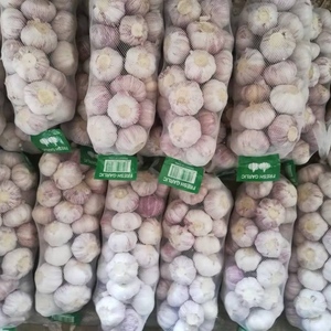 Nouveau Croup Ail Chinois Légumes Frais Ajo Ail Alho Ail Blanc Normal 5.5cm Avec Un Prix Compétitif - Product Image 4