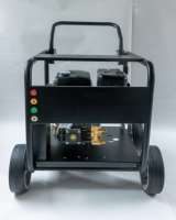 Ventes d'usine Moteur 190F 4500PSI/250Bar Nettoyeur haute pression à essence Portable Machine à laver pour l'industrie du lavage de voitures