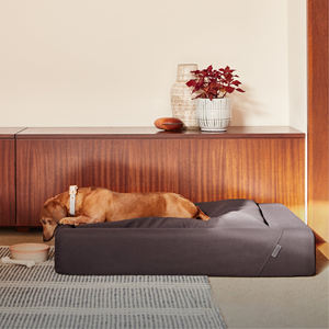 <span class=keywords><strong>Eco</strong></span> <span class=keywords><strong>Friendly</strong></span> diseñadores de lujo Durable extraíble grande lavable personalizado ortopédico Boucle impermeable espuma viscoelástica cama para perros - Product Image 5