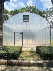 Venta directa de fábrica, invernadero barato, invernadero de túnel de un solo tramo utilizado para tomate y fresa - Product Image 5