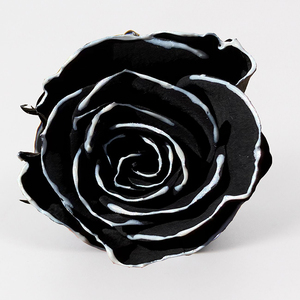 Fleurs Éternelles USA : Têtes de Roses Préservées Style Chansons, Qualité Supérieure pour Événements Spéciaux - Product Image 3