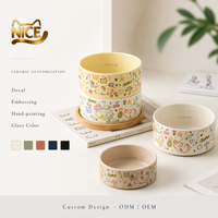 Bol en céramique mate pour chat et chien NicePets |   Assiette d'alimentation anti-renversement à motif graffiti mignon |   1260 ° Bol à eau multi-usage C Fired Food
