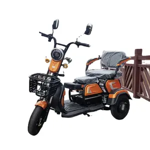 2023 New 3 Wheeler Heavy Loading Adult 500W Motor Cheap Bicycle City Electric Tricycle For Old Elderly People