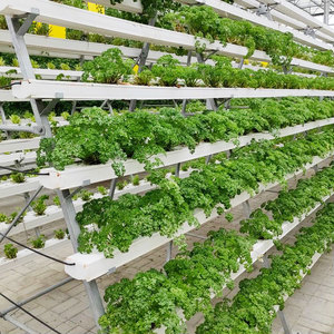 Lyine microgreens sản xuất trang trại dọc nft thủy canh Sistema hydroponico nft ngang nft hệ thống - Product Image 6