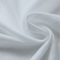 Rideau Moderne Prêt à Poser avec Œillets, Décoration Intérieure Salon, Texture Dentelle Blanche, 100% Polyester Ignifuge