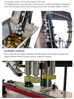 Ligne d'emballage automatique pour bouteilles de nourriture sèche, machine de remplissage et de bouchage de pots pour noix de cajou