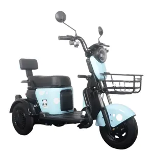 Hot Selling Fat Tire Scooters Custom 3 Wheel Adult 48V Cargo Eec Open Electronic Tricycle