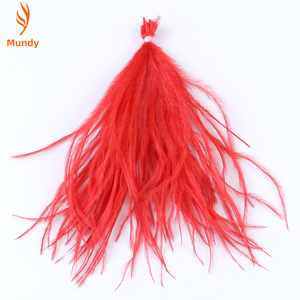 Plumas de Avestruz Rizadas de Excelente Calidad, Borla de Plumas de Avestruz Coloridas para Disfraces, Decoración de Ropa para Fiestas - Product Image 4
