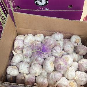 Exportadores de ajo Suministro de China Ajo natural Ails/Ajo/Alho 4,5 cm-6,5 cm Embalado por cartón/bolsa Calidad de exportación - Product Image 5