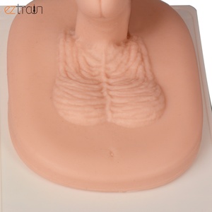 Instrutor de Circuncisão Masculino Adulto - Product Image 4