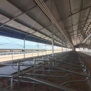 Cow Free stall and feeding fence to supply the comfortable living condition in ranch