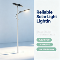 Lampe Intelligente Hybride Éolienne et Solaire Intégrée pour Route et Extérieur YD-TYN-14