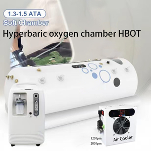 200lpm Electronic <b>Air</b> Cooler for Soft Hyperbaric Oxygen Therapy Chamber HBOT Refrigerant <b>Air</b> Dryer - Product Image 4