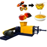 Nieuwe hoog-efficiënte automatische palmvruchtenpersmachine met schroef, energiebesparend, voor de productie van ruwe olie, capaciteit 500 kg/uur voor de molen