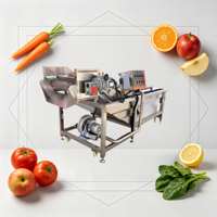 Hotsale industriële multifunctionele bubbelwasmachine met wormen- en harenverwijderaar voor groenten en fruit