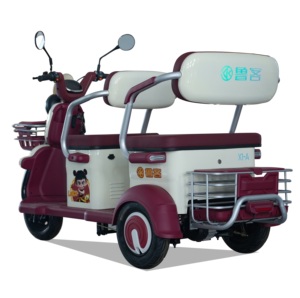 Tricycle pliable 60V pour adultes, scooter à châssis ouvert, pédales, vitesse 30-50 km/h, autonomie 50-70 km, 2 places, moteur 251-350W, mobilité - Product Image 1