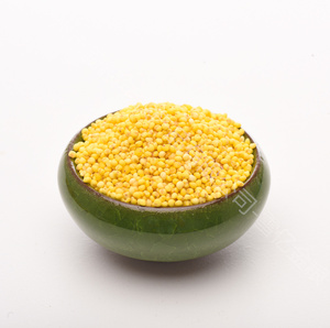 <span class=keywords><strong>Millet</strong></span> Glutineux Premium Dahuang – Riz Traditionnel Chinois à Grains Entiers – <span class=keywords><strong>Millet</strong></span> Riche en Nutriments pour Porridge et Pâtisserie – Vente en Gros - Product Image 1