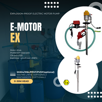 Pompe à fût chimique antidéflagrante OEM 220V haute pression certifiée IP55 internationale avec moteur 1.1 CV et câble de 3m