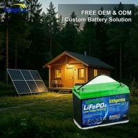 Batterie LiFePO4 rechargeable 12V 120AH Grade A 6000+ cycles profonds pour stockage domestique, avec BMS intelligent CAN Bus, borne M8, CE RoHS IP67, OEM ODM