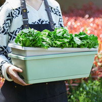 Baki Pot Tanam Panjang Tebal Horen untuk Balkon, Berkebun Sayuran dan Bunga, Model Minimalis Gaya Eropa X12 Heavy Duty