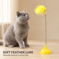 Bâtonnet interactif pour chat, écologique, antidérapant, à manche court, pour le nettoyage des dents des chatons, directement de l'usine