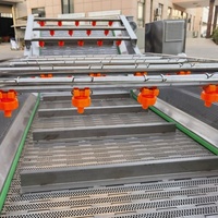 Industriële Verse Groente Fruit Reiniging Droogverwerking Machines Droge Data Wasmachine Te Koop Met Ce Certificering