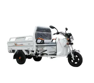 China Supply 3 Wheeler Cargo City 3 Wheel Tricycle Hot Selling Adult Cargo Tricycle 3 3 Wheeler Bicycle Bike