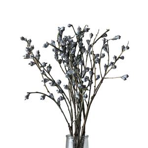 Vases de fruits d'eucalyptus Offre Spéciale de 110g fleur séchée de longue durée 100% fruits d'eucalyptus naturels <span class=keywords><strong>pour</strong></span> la décoration d'anniversaire - Product Image 6