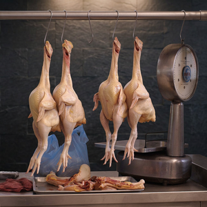 Pollo Entero Congelado Grado A, Cajas (10-20 kg), Suministro a Granel para Distribución de Alimentos, Origen Sudáfrica - Product Image 4
