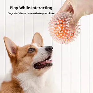 Wholesale Eco Friendly TPR <strong>Dog</strong> <strong>Toy</strong> Squeaky Interactive Movement Transparent Burr Chew Training <strong>Dog</strong> <strong>Toy</strong> - Product Image 5